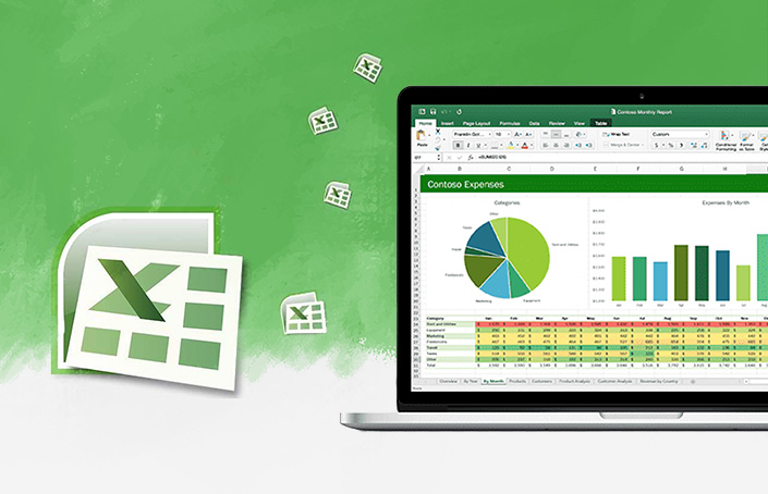 Microsoft Excel Professional